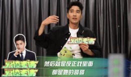 赵又廷采访爆料视频