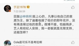 娱乐圈吃瓜网站有哪些,揭秘热门八卦平台