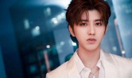 王志傲事件爆料视频大全,揭秘爆料视频背后的真相与争议